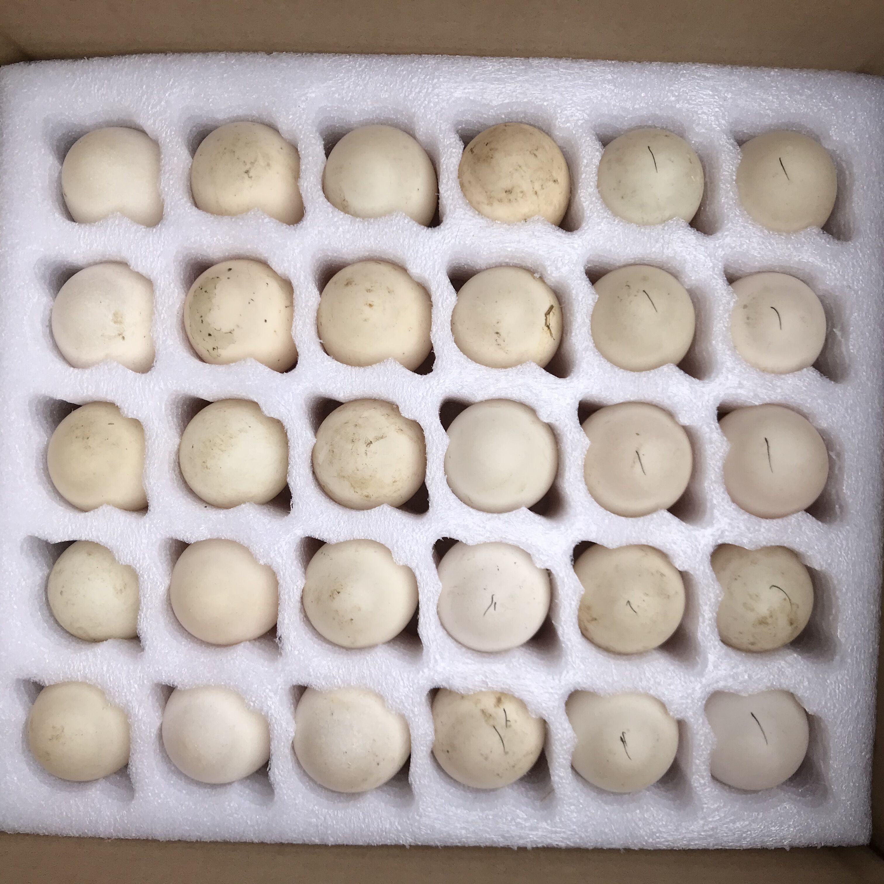 Wenzhou Yongjia rural fresh duck eggs rice-fed duck eggs local eggs 10 self-raised eggs