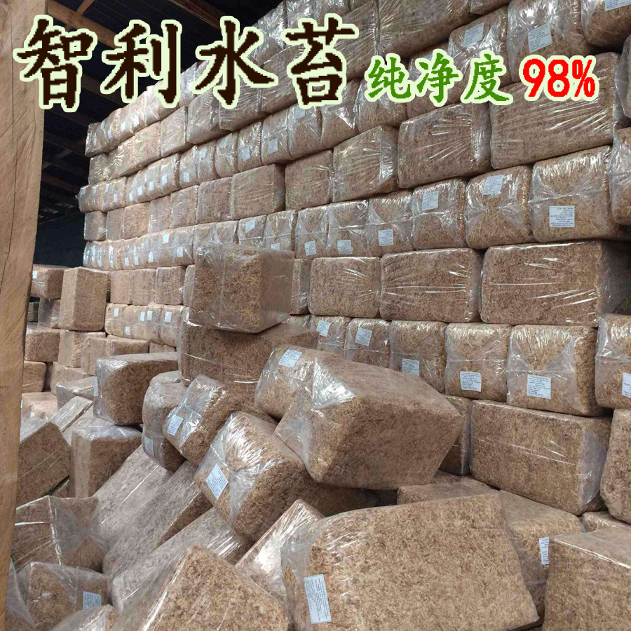 Chile water moss Imported dry water moss Phalaenopsis orchid bluegrass special water moss whole package about 5 kg