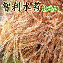 Orchid soil Chilean water moss Imported water moss Phalaenopsis orchid Dendrobium substrate thick and fat dry water moss