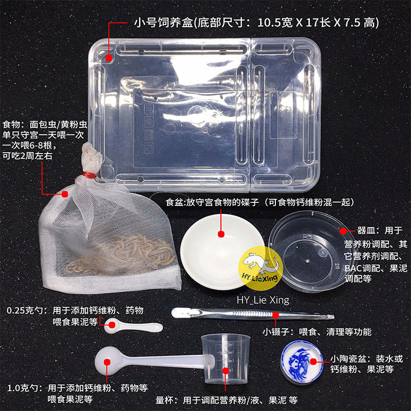 Hunting Climbing pet Lizard Palace guard fat tail ciliary horned gecko Corn snake Spider feeding set Feeding box Feeding box