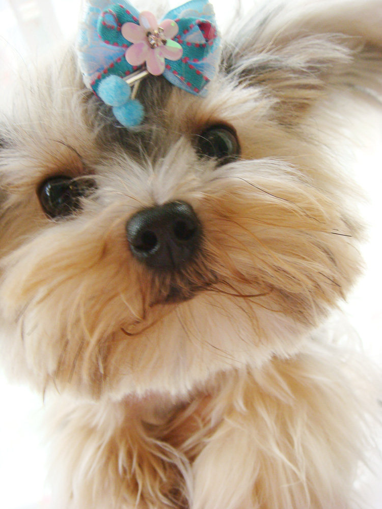 Postage supplementary shot 12 yuan