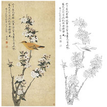 Meticulous painting White drawing bottom draft begonia Oriole non-dark hook line physical printing draft size optional YF80