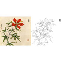 Meticulous painting white drawing draft draft flower Yu Zhizhen red okra physical white paper printing size optional-JV11