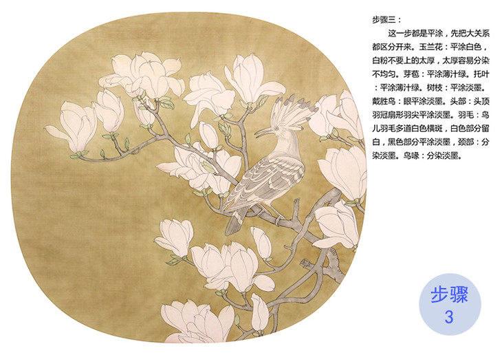 товар из китая 工笔画白描打印底稿玉兰郑玲玲玉堂富贵40*43原大有步骤说明004z