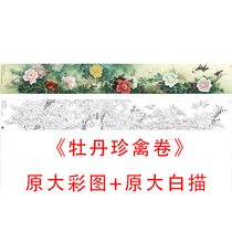 Li Xiaoming flower and bird line drawing manuscript-Peony rare bird roll-original large line drawing physical printed version 882C
