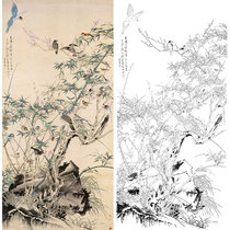 Meticulous painting line drawing flower bird bamboo and stone in non-dark hook line physical printing draft size optional YF73