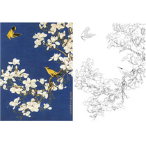 Meticulous painting draft in non-dark flower bird Magnolia Oriole hook line physical printing draft size optional YF87