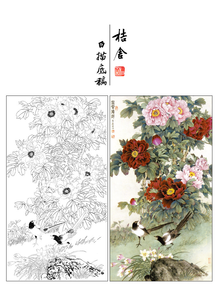 Work stroke white sketching manuscript Wang Qingsheng Vertical Mudan Flower Bird Physical Print Draft 66 * 120 with coloured pattern 693T