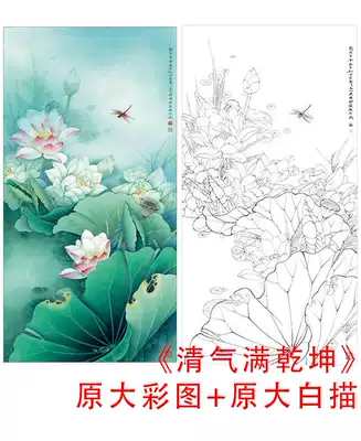 Gongbi flowers and birds white sketch manuscript Li Xiaoming four-foot lotus-Qing Qi full of heaven-original large physical print draft 831C