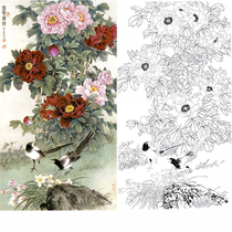 Gongbi painting white sketch background Wang Qingsheng vertical peony flowers and birds physical print draft 66*120 with color map 693T