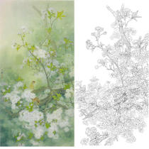 Meticulous painting and printing manuscript Zhou Zhongyao Begonia is Qingming 68*134 original large size with color picture 757T