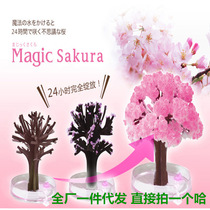 Magic Magic Tree Physics Experiment Children as Children Christmas Toys Snow Crystal Paper Tree Flowering Cherry Tree