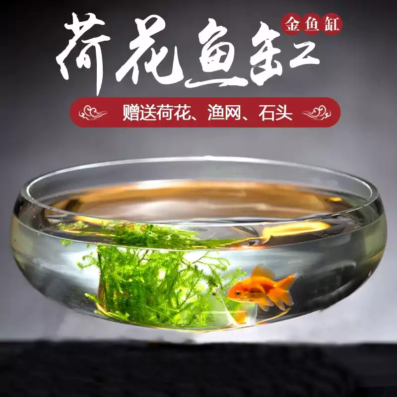 特大號荷花缸超白透明大型玻璃魚缸水培創意魚缸金魚缸烏龜缸-淘寶