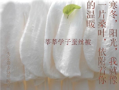 Selected silk quilt custom-made summer cool quilt Winter quilt core Tongxiang 100%handmade mulberry silk quilt