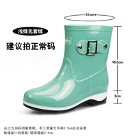 Светло-зеленый