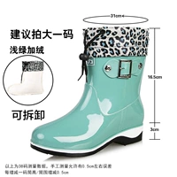 Пылаться светло -зеленым