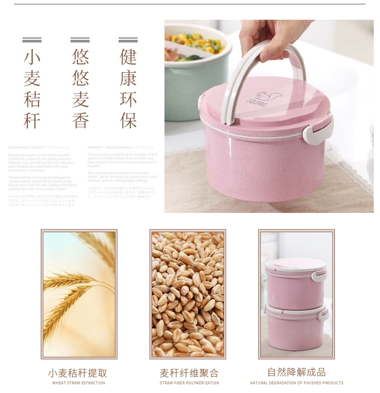 Lúa mì Bellflower Bento Hộp cơm trưa Lò vi sóng Hộp kín Bữa trưa Sinh viên Bento Hộp trái cây Hộp Salad - Hộp cơm điện sưởi ấm