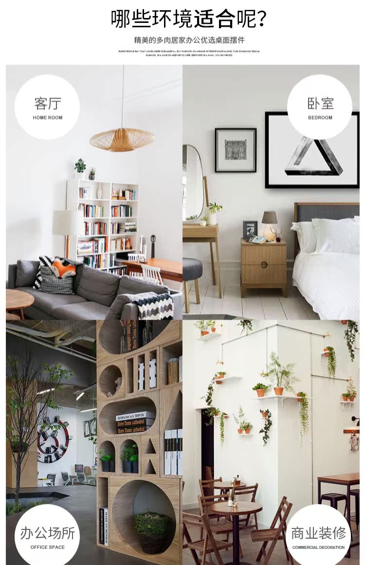 Cây mọng nước kết hợp chậu sáng tạo hình con chim dễ thương bàn trong nhà chậu nghệ thuật trang trí quà tặng - Trang trí nội thất phụ kiện trang trí ban công