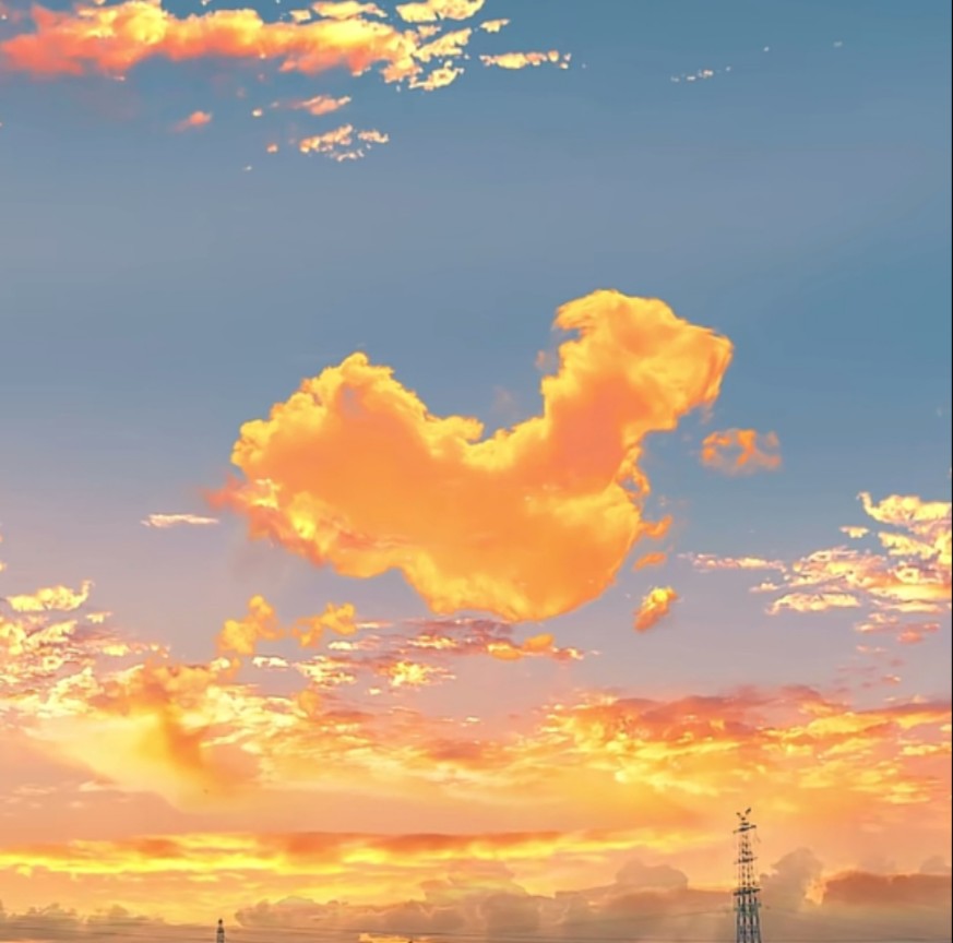伟杰耗材