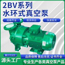 2BV series water ring vacuum pump industrial oil-free 2060 2061 vacuum water cycle compressor