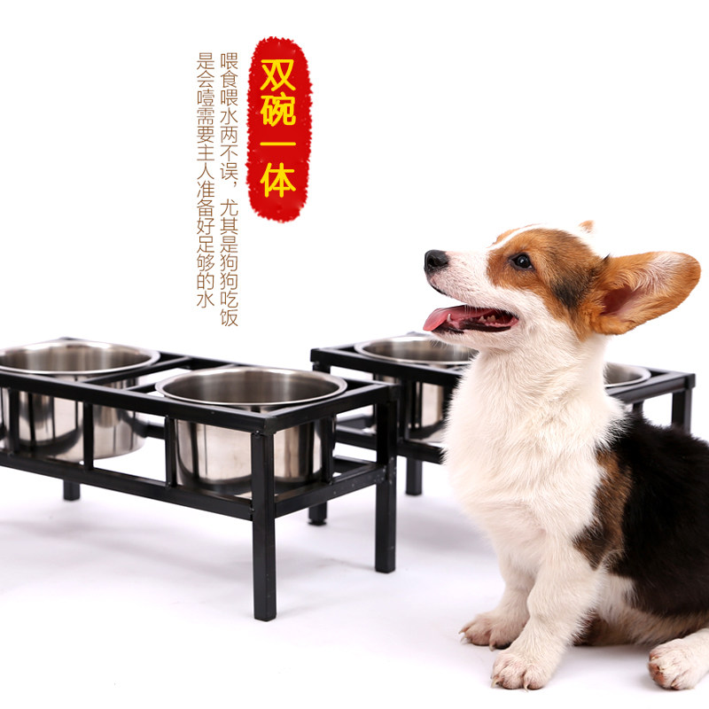 Dog Basin Dog Bowl Cat Bowl double bowl Automatic Drinking Water Bowl Pooch Bowl Cat water Bowl Anti-over-rice bowl Pet Twin Bowl