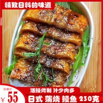 Japanese-style Pu barbecue eel heated instant live eel grilled net red eel rice Eel seafood sushi cuisine 230g