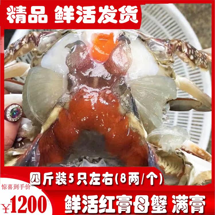 (Whole female cream crab) 5 4 jin pack extra large red cream crab two female crab high-end seafood red sturgeon swimming crab fresh