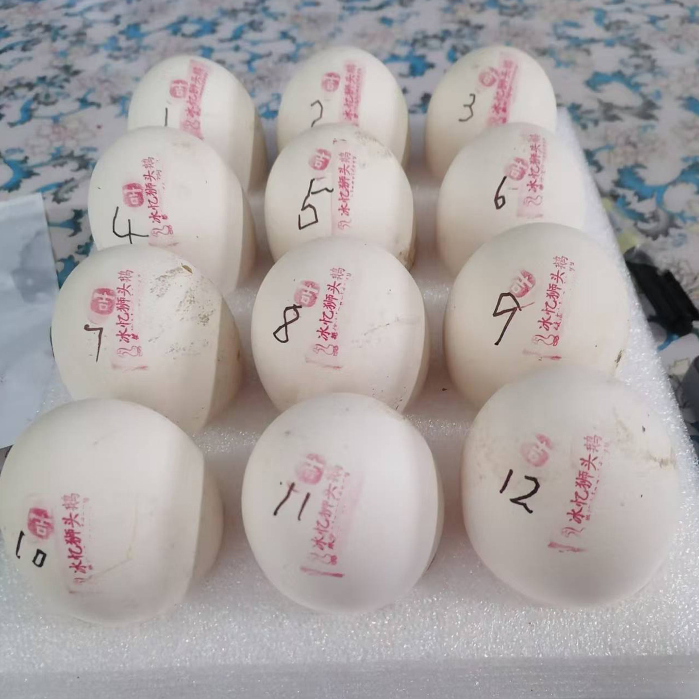 如何挑选正宗的白狮头鹅种蛋？