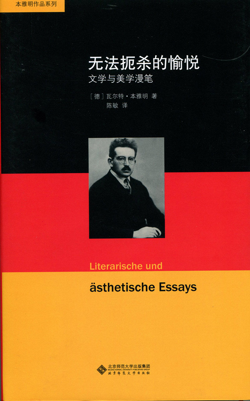 《无法扼杀的愉悦》正版书籍,文学与美学的盛宴📚-外国随笔/散文集-淘宝好物网