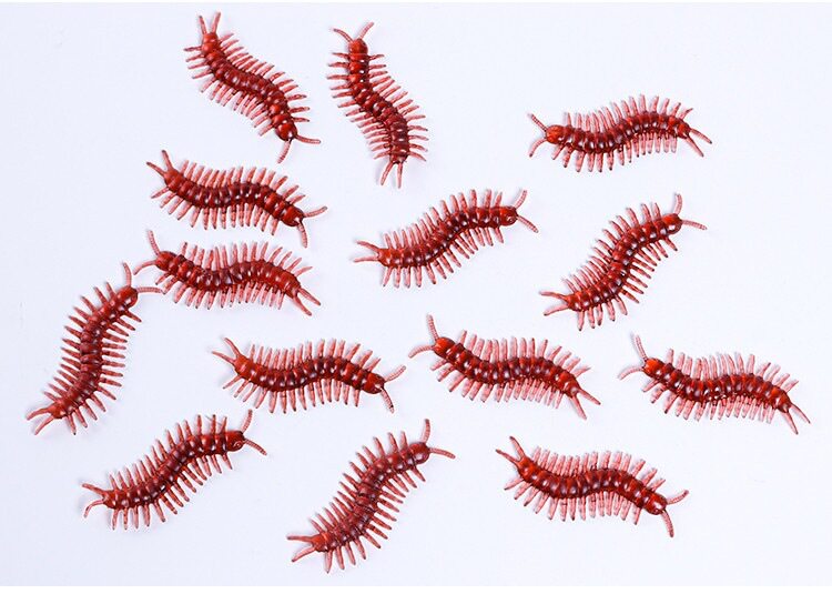 仿真蟑螂 愚人节整蛊玩具 吓一跳蟑螂小强 仿真蜈蚣壁虎蝎子批发详情8