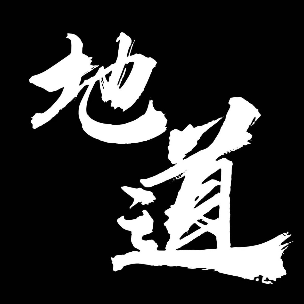 地道体育 专注正品