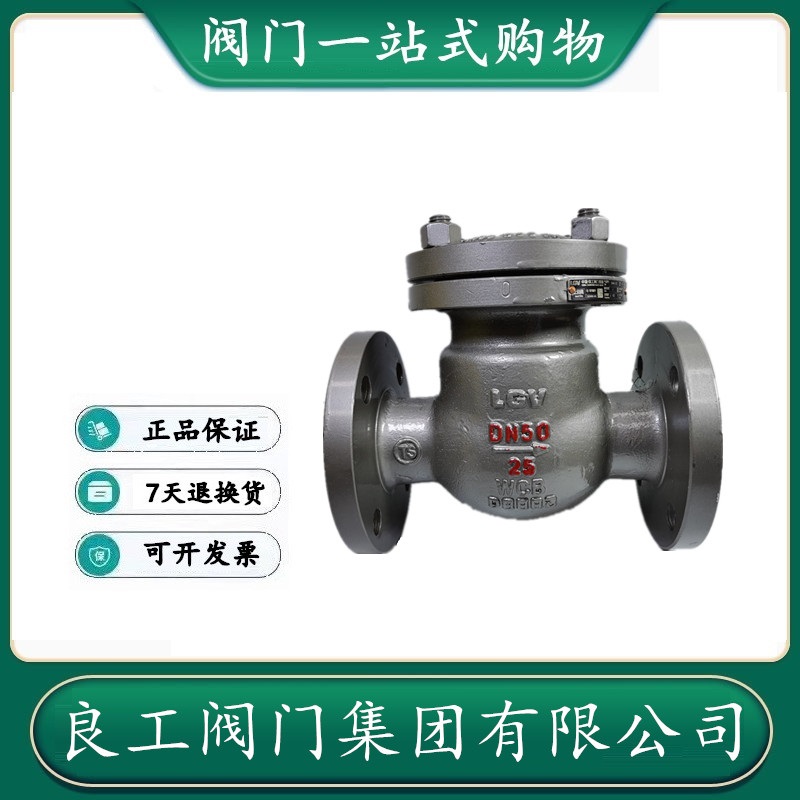Good work valve flange check valve H44H-16C 25C cast steel screwup check valve DN40 50
