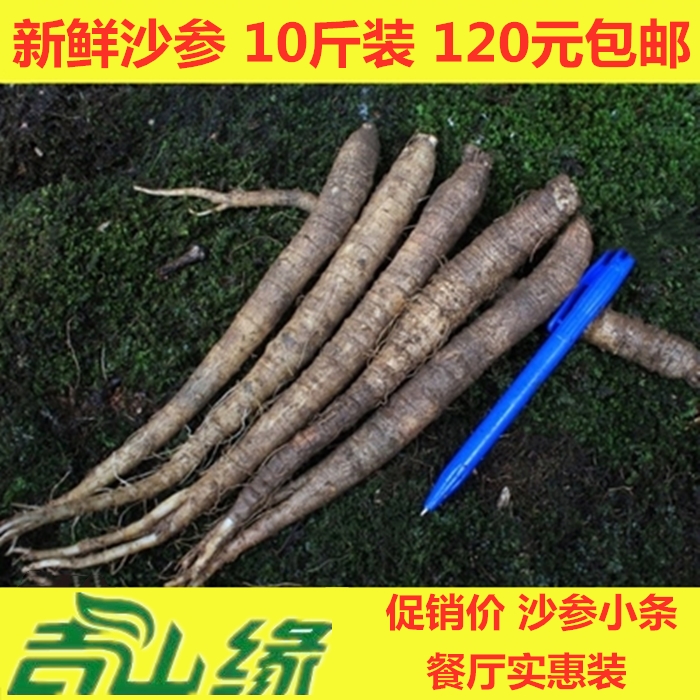 Fresh sand ginseng Northern sand ginseng mountain carrot Korean cuisine Sand ginseng strips 10 pounds 120 yuan