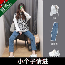 Straight Drum Jeans Women Pants Summer Slim Fit 80% Short subsummer fit 90% 150cm Hart wearing and matching