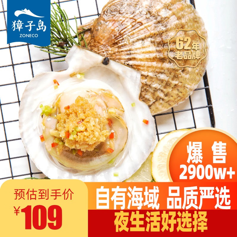 Zhangzidao garlic vermicelli scallops 1000g 30 steamed scallops Seafood specialties fresh Dalian Ezo scallop meat