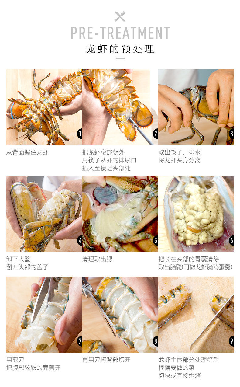 龙虾_17.jpg