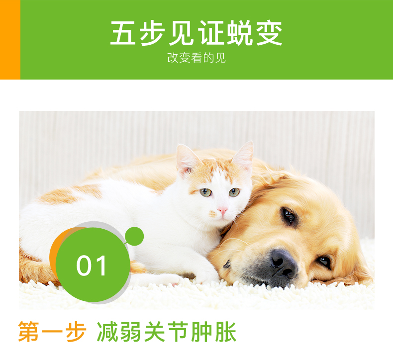 Khớp thú cưng nhỏ Kang thú cưng khớp khớp viêm khớp kho báu mèo chó khớp lông vàng nguyên Labrador - Cat / Dog Health bổ sung Sữa cho chó lớn