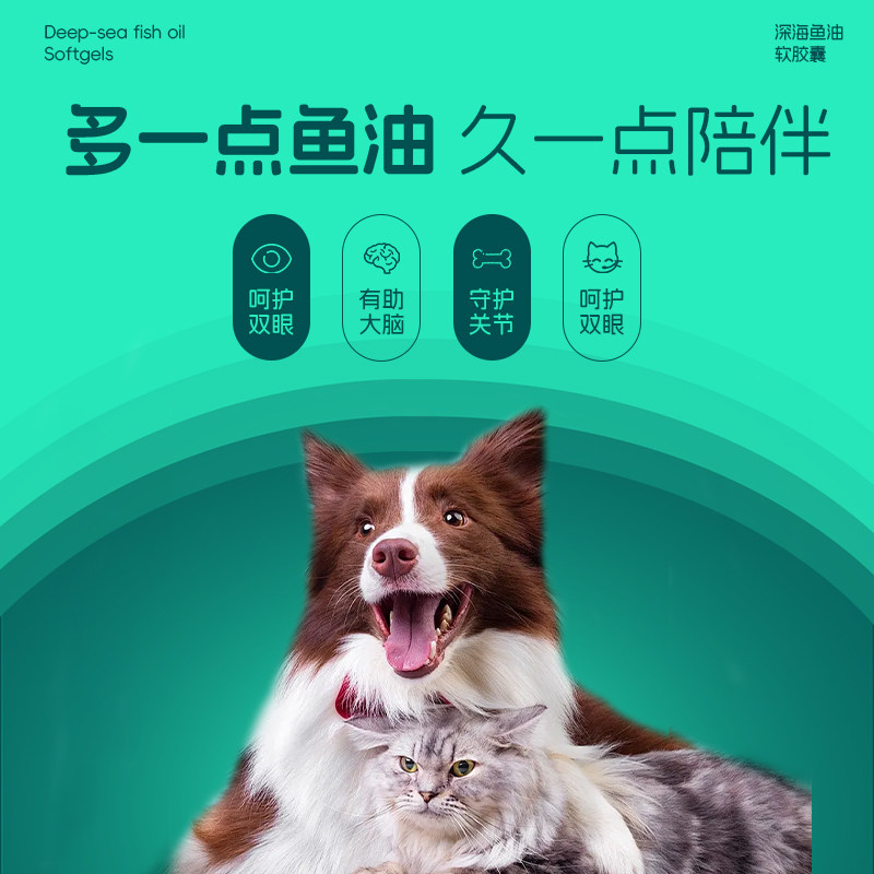拜卡猫咪鱼油能给毛孩子带来哪些健康福利？2026年的美毛养宠新选择