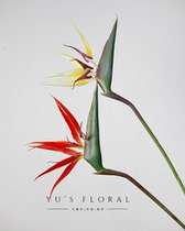 Simulation flower Bird of paradise Tropical flowers Home decoration Floral landscaping Wedding decoration photography props