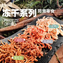 Dried shrimp water turtle food and fish feed Brazilian turtle small turtle feed frozen dried shrimp calcium supplement high calcium young turtle opening