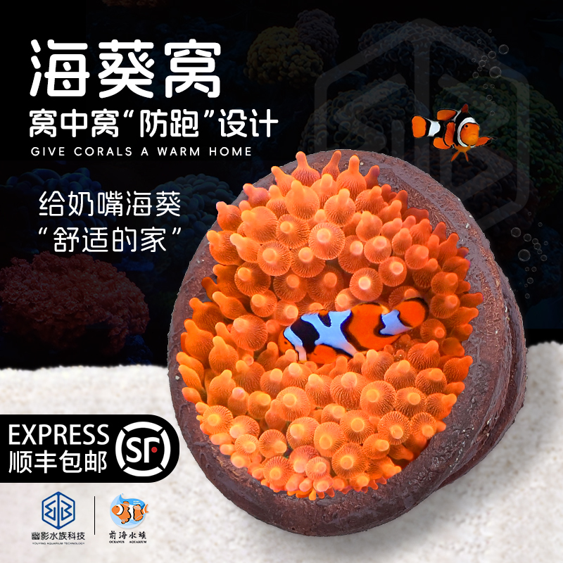 Shadow Landscaping Pacifier Sea Anemone Nest Sea Anemone Base Coral Fixed Anti-Escape Breeding Hiding Tank Seawater Coral Landscaping