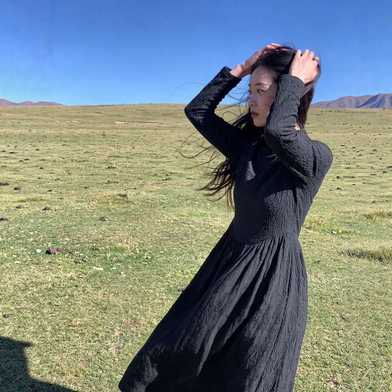Youchen Feiqie Original 26 Autumn New Chinese Style Black Dress Women's Long Sleeve Loose Elegant Temperament Long Dress Liuying