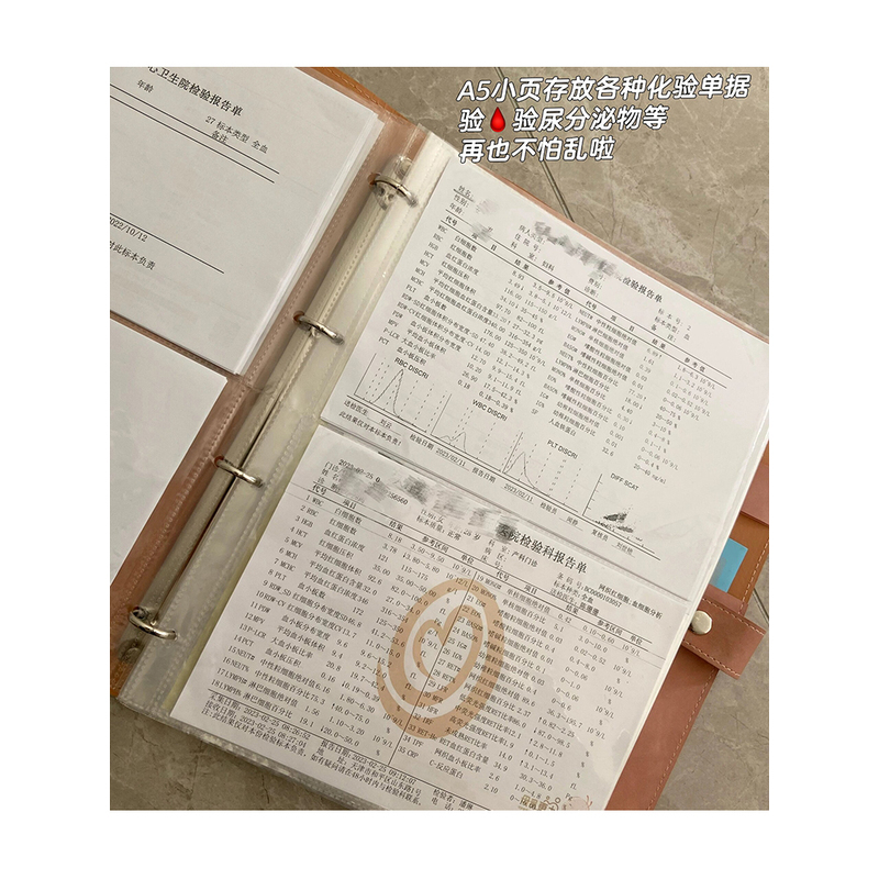 Medical Record Storage Book, Ultrasound Pathology File Record, A4 Hospital Pregnancy Check, Vaccine, Prenatal Check Document Storage Bag