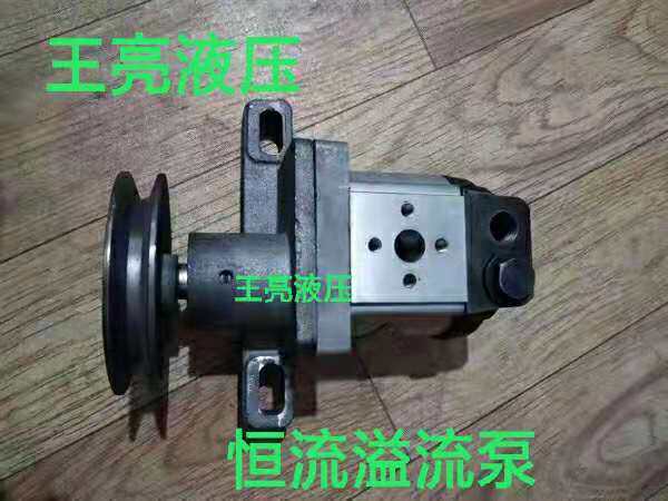 Tractor direction pump Hydraulic constant flow pump Change hydraulic direction special pump
