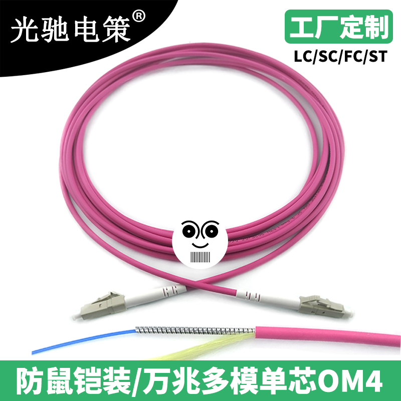 100g Multi-Mode Om4 Single-Core Armored Fiber Optic Patch Cord, Anti-Mouse Tail Fiber, Lc Square Head, Sc Round Head, Fc Snap-On, St