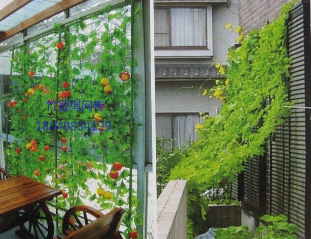 Spot hot sale horticulture net plant climbing wiki network patio vine crawling net export Japanese horticulture network