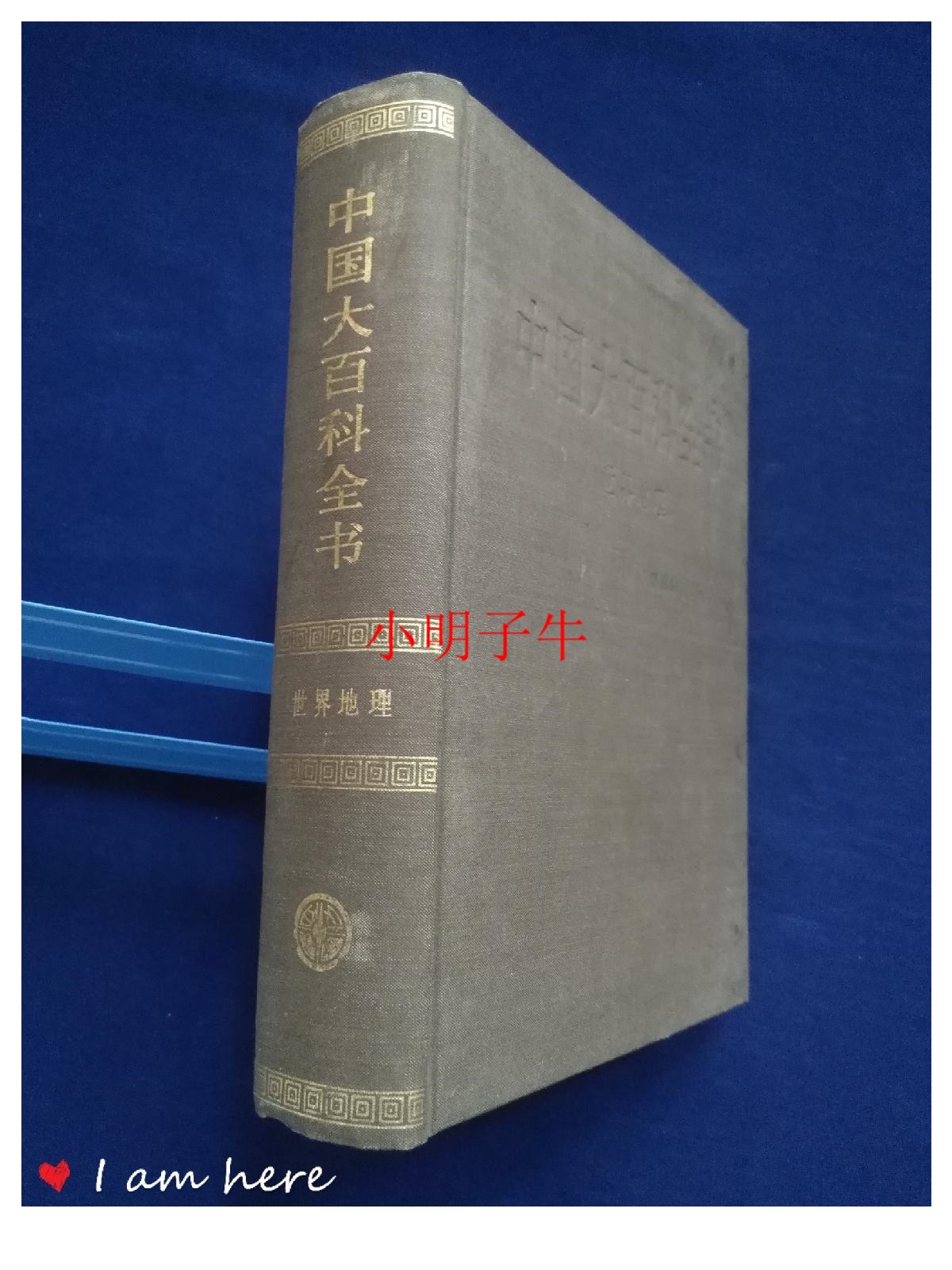 中国大百科全書 中国文学 1-2 精装本