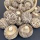 High-Quality Dried Shiitake Mushrooms with a Rich Aroma and Thick Flesh, Carefully Selected and Cut, Grown on Linden Wood, Mountain Produce, Local Specialty, Farm-Grown Dried Mushrooms