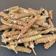 High-Quality Dried Prunella Vulgaris Chinese Herbal Medicine Guangdong Herbal Tea White-Haired Prunella Vulgaris Soaked in Water Can Be Mixed with Ganoderma Lucidum and Cat's Claw Boiled in Water