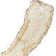 Large pieces of original color angelica soup, high-quality angelica body slices, dried angelica head slices, can be mixed with astragalus and dangshen soaked in water